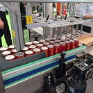 Packaging/Food Processing